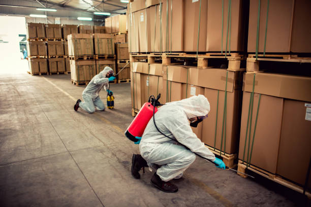 Best Pest Prevention Services  in Wildwood, TN