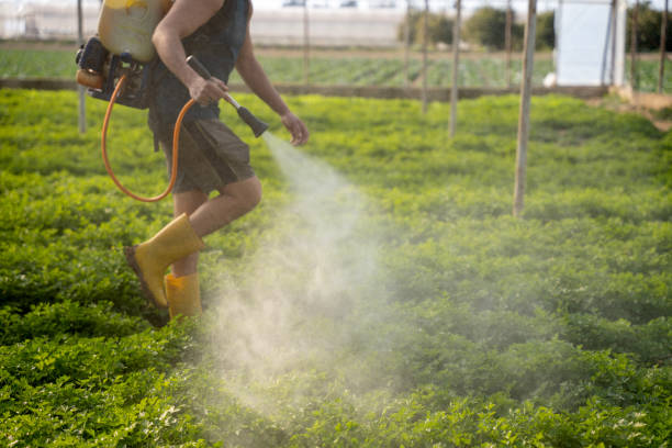 Best Affordable Pest Control Services  in Wildwood, TN