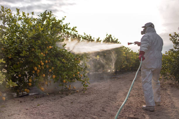Best Mosquito Control Services  in Wildwood, TN